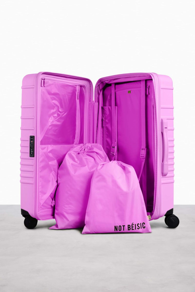 CheckIn26 Lavender Luggage Interior 4035